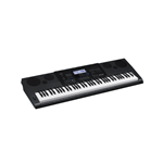Casio WK-6600 Portable Keyboard