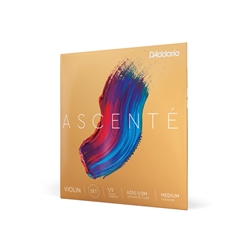 D'Addario Ascente Violin Set - 1/2