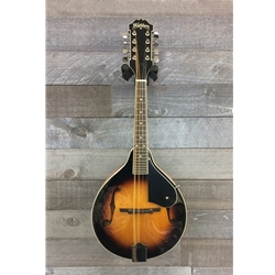 Washburn M1K Mandolin Kit